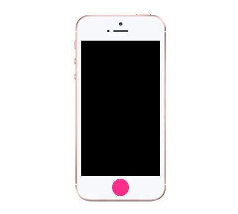 Home Button Repair - iPhone 5c