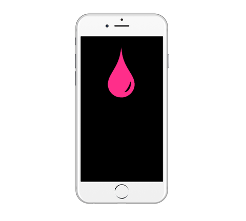 Liquid Damage Diagnosis - iPhone 6 Plus