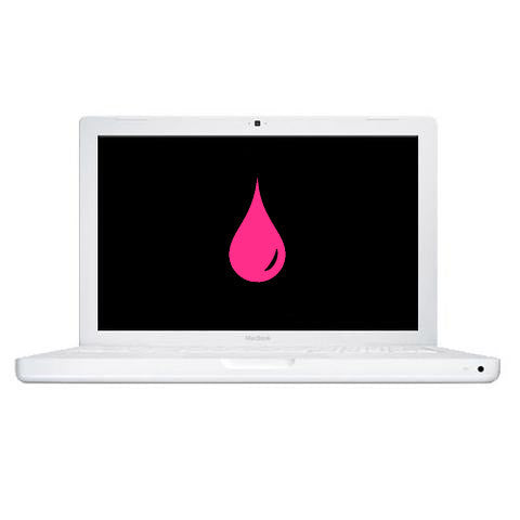 Liquid Damage Diagnosis - MacBook A1181