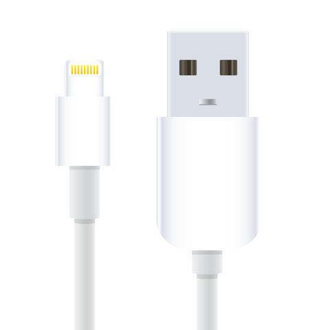 Apple Lightning to USB Cable